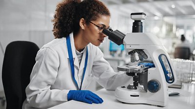 Photo of a microbilogist in a lab analyzing bacteria under a microscope.
